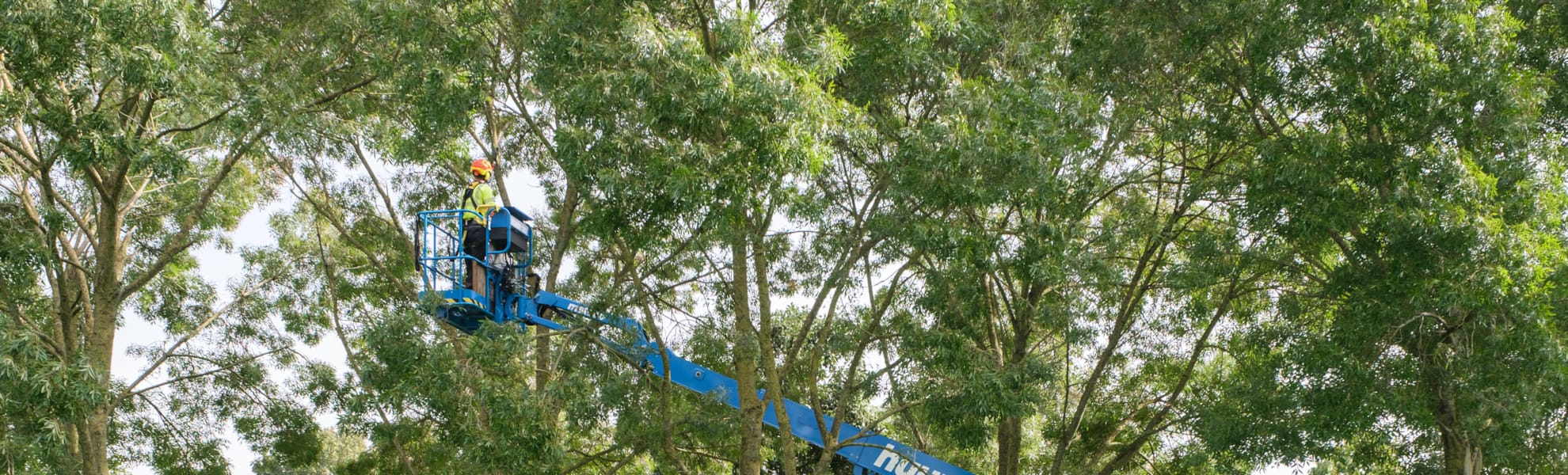 werken als European Tree Worker (ETW) IJsselvecht bij ROVA