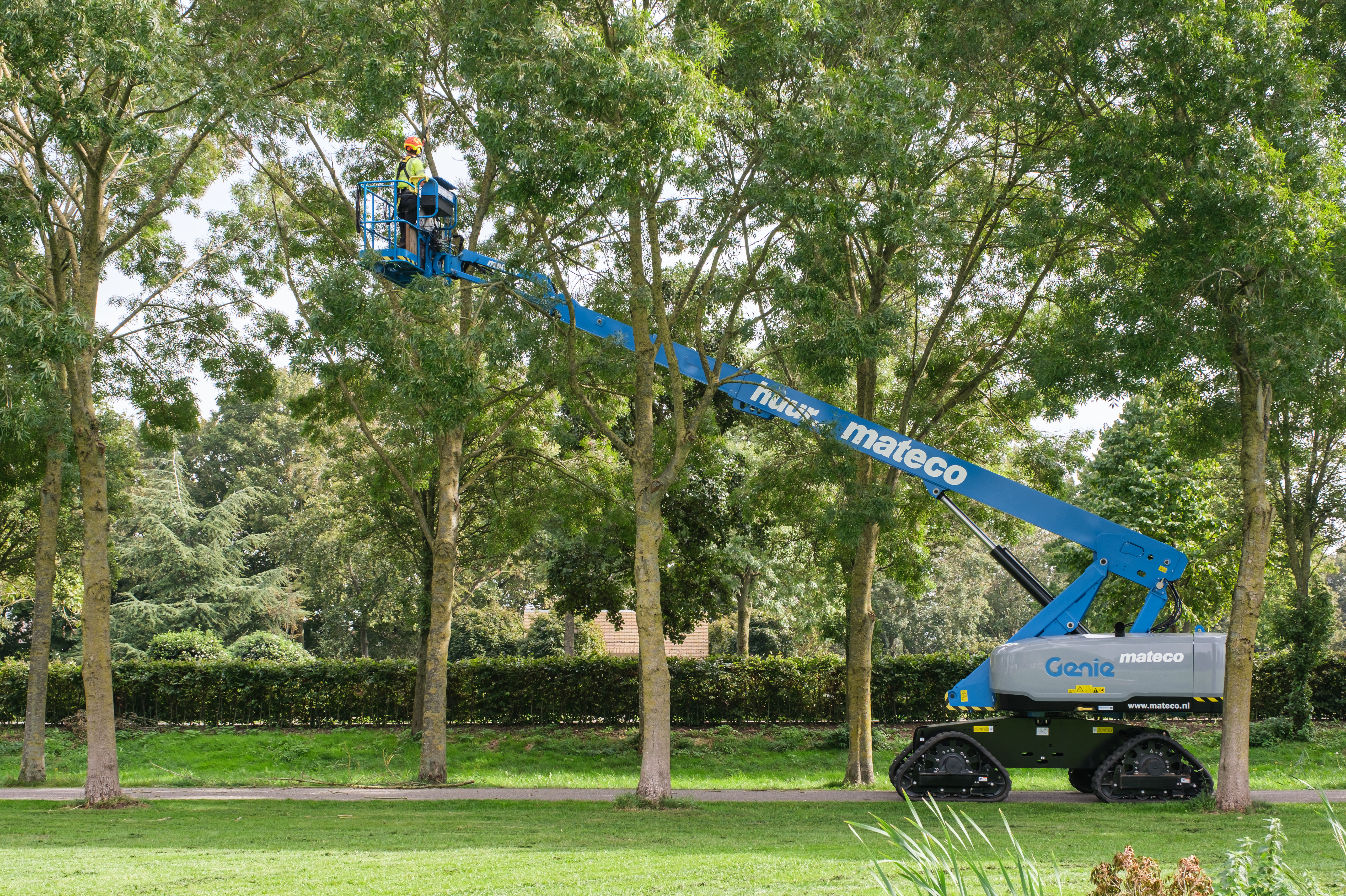 werken als European Tree Worker (ETW) IJsselvecht bij ROVA