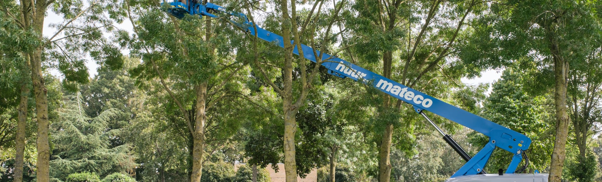 werken als European Tree Worker (ETW) IJsselvecht bij ROVA