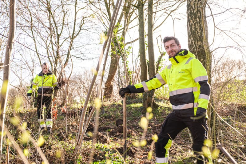 Senior Medewerker Groenbeheer