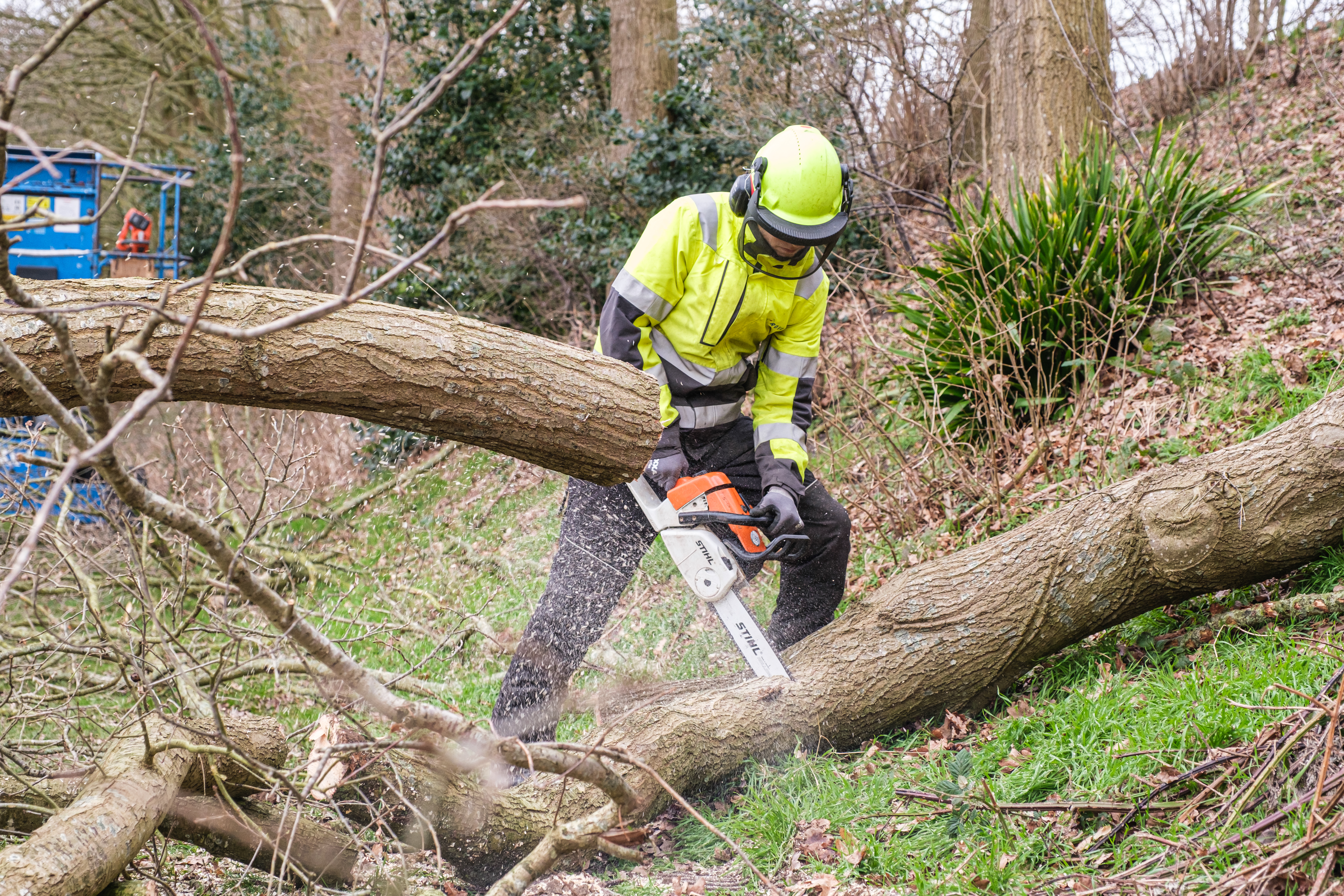 European Tree Worker (ETW) Werken bij ROVA