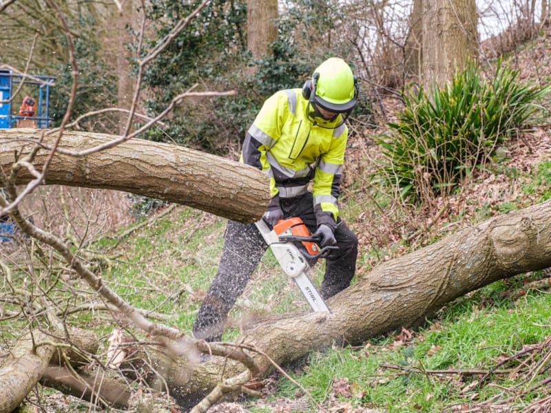 European Tree Worker (ETW) Werken bij ROVA