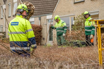 Wijkteams Beheer Buitenruimte